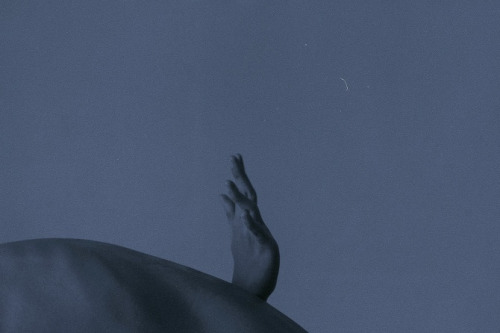 tumblr_nlq3xlFPUl1qz6f9yo5_500