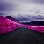 Striking infrared photography by Daniel Zvereff.