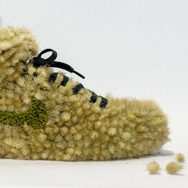 shoe_grasshopper_instagram